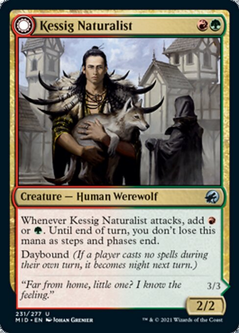 Kessig Naturalist / Lord of the Ulvenwald (Innistrad: Midnight Hunt) Damaged / Poor