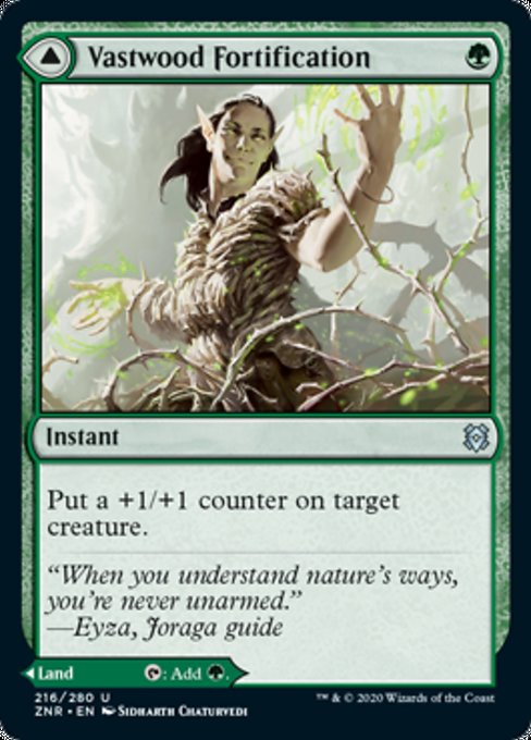 Vastwood Fortification / Vastwood Thicket (Zendikar Rising) Light Play