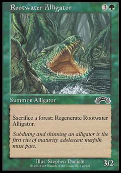 Rootwater Alligator (Exodus) Light Play