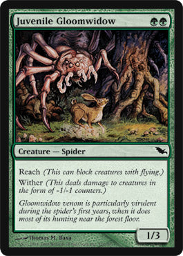 Juvenile Gloomwidow (Shadowmoor) Light Play
