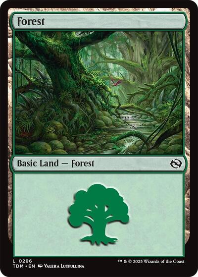 Forest (0286) (Tarkir: Dragonstorm) Light Play