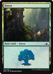 Forest (Guilds of Ravnica) Light Play
