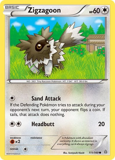 Zigzagoon (XY - Primal Clash) Light Play Reverse Holofoil