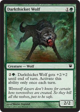 Darkthicket Wolf (Innistrad) Light Play