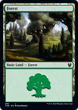 Forest (286) (Theros Beyond Death) Light Play