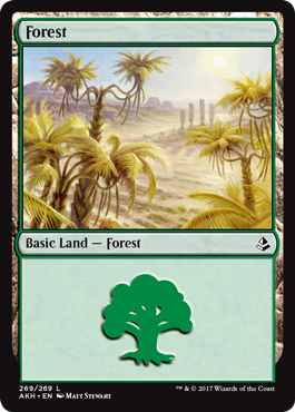 Forest (4) (Amonkhet) Light Play