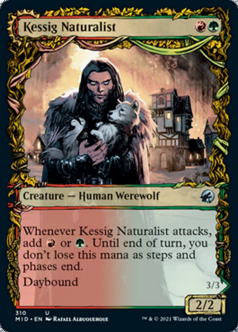 Kessig Naturalist / Lord of the Ulvenwald (Showcase) (Innistrad: Midnight Hunt) Light Play
