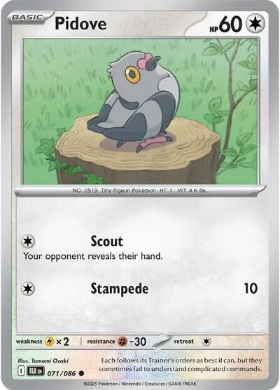 Pidove (SV: Black Bolt) Light Play Reverse Holofoil