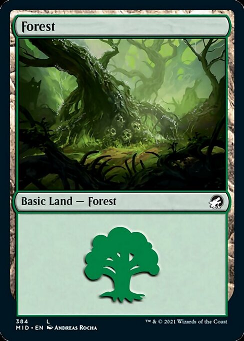 Forest (384) (Innistrad: Midnight Hunt) Light Play