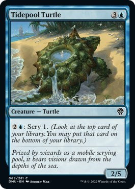 Tidepool Turtle (Dominaria United) Light Play