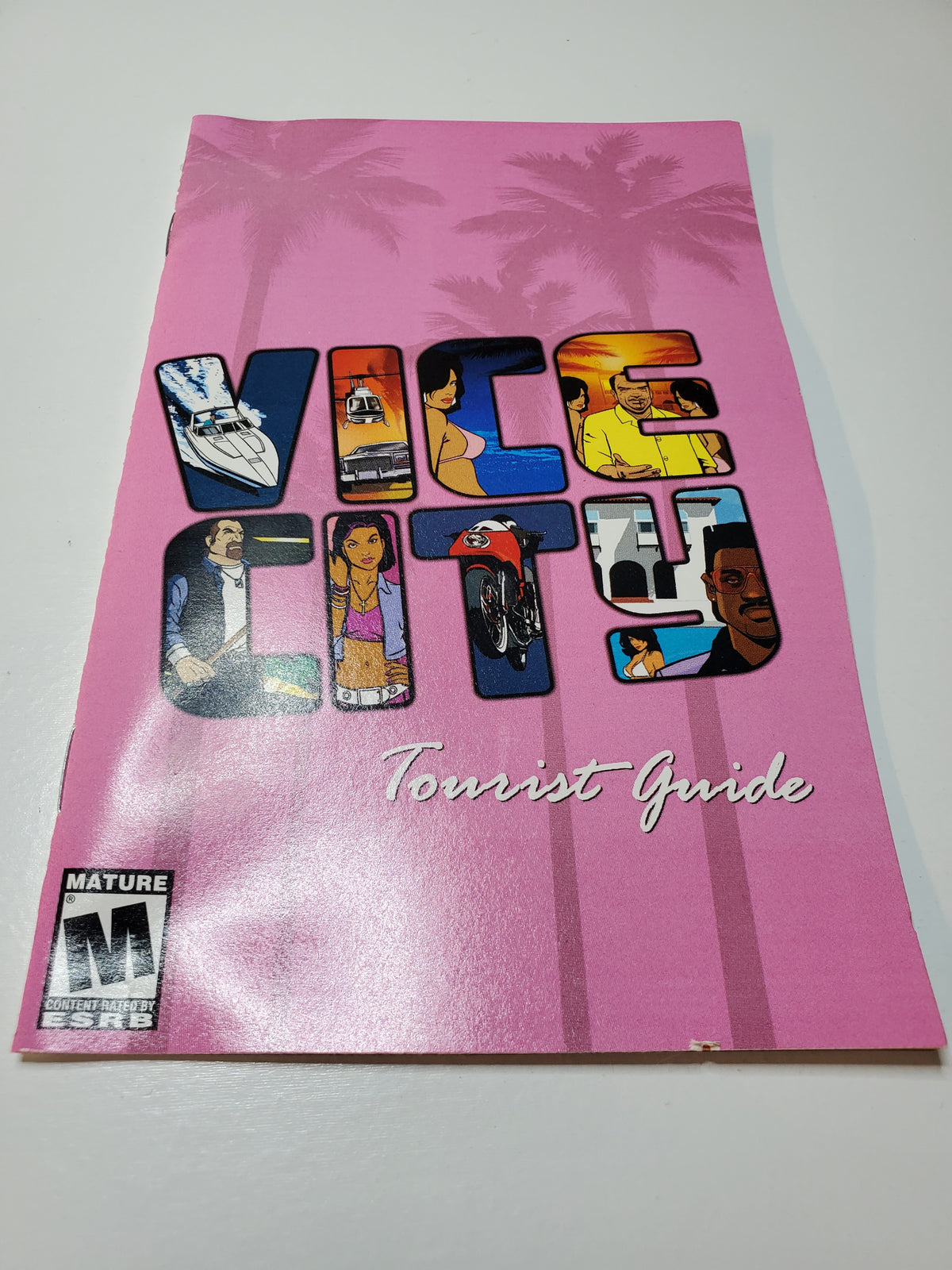Grand Theft Auto Vice City (PS2)