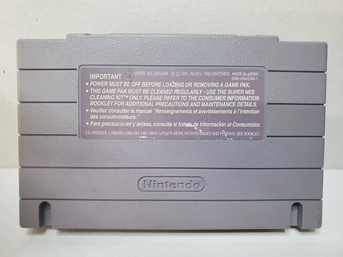 Rocko's Modern Life: Spunky's Dangerous Day (SNES)